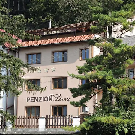 Penzionlivia,tr.teplice Trencianske Teplice