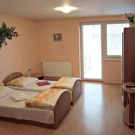 Penzionlivia,tr.teplice Hotel 3*